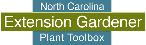 Home  North Carolina Extension Gardener Plant Toolbox